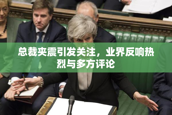 总裁夹震引发关注，业界反响热烈与多方评论
