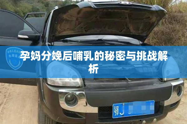 孕妈分娩后哺乳的秘密与挑战解析