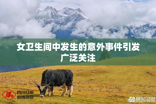 女卫生间中发生的意外事件引发广泛关注