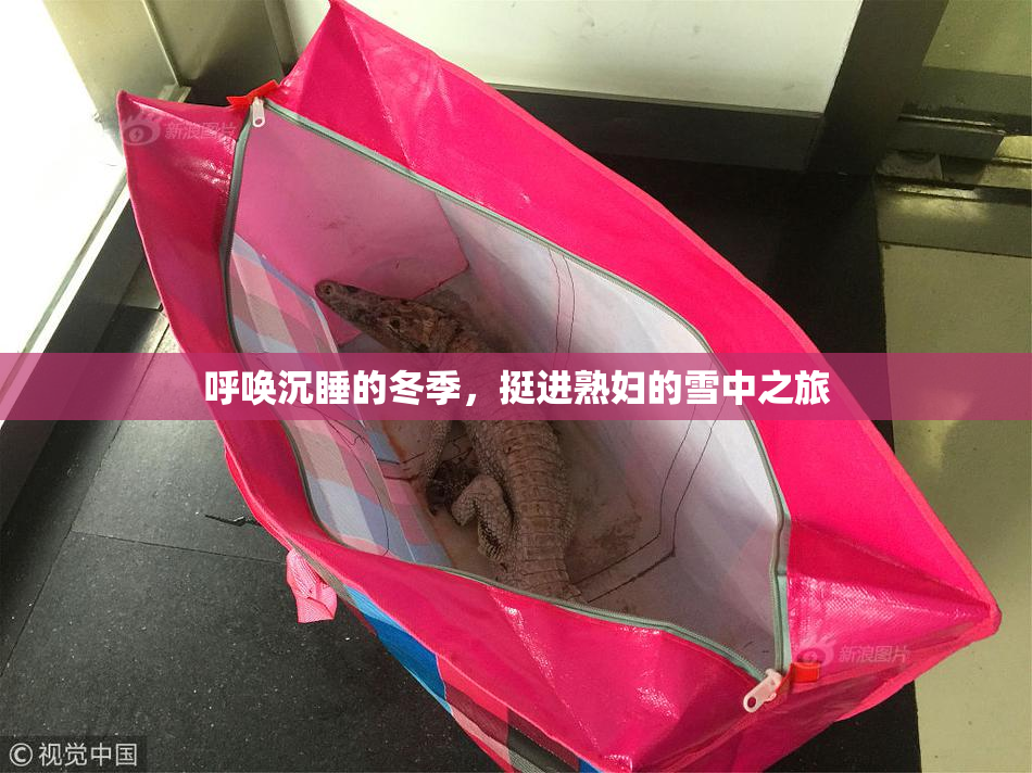 呼唤沉睡的冬季，挺进熟妇的雪中之旅