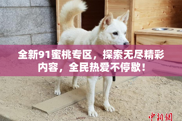 全新91蜜桃专区，探索无尽精彩内容，全民热爱不停歇！