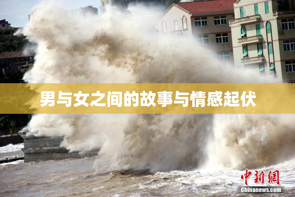 男与女之间的故事与情感起伏