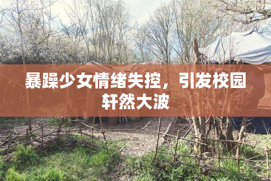 暴躁少女情绪失控，引发校园轩然大波