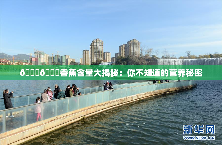 🔞🔞香蕉含量大揭秘：你不知道的营养秘密