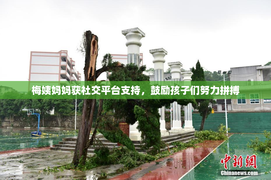 梅姨妈妈获社交平台支持，鼓励孩子们努力拼搏