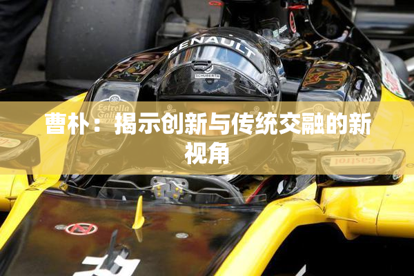 曹朴：揭示创新与传统交融的新视角