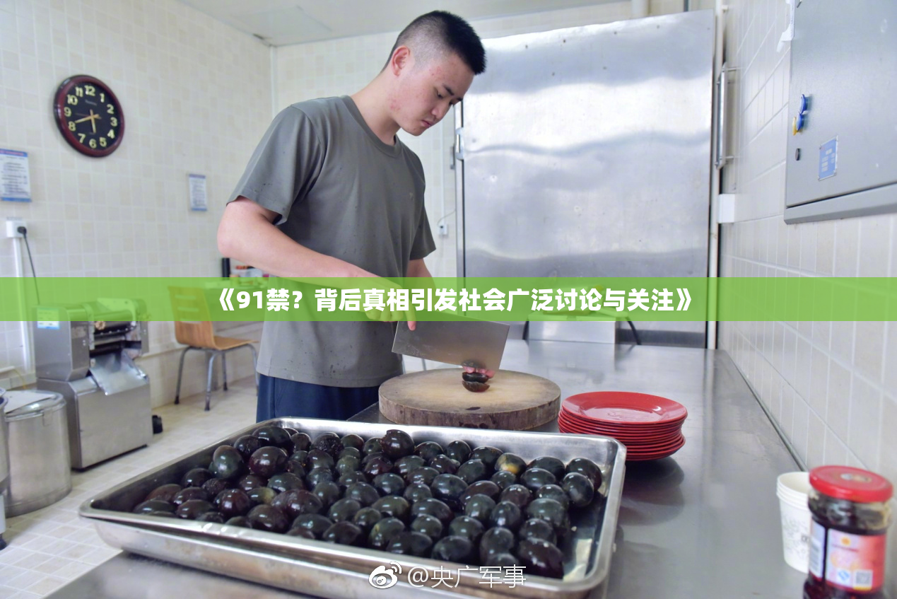 《91禁？背后真相引发社会广泛讨论与关注》