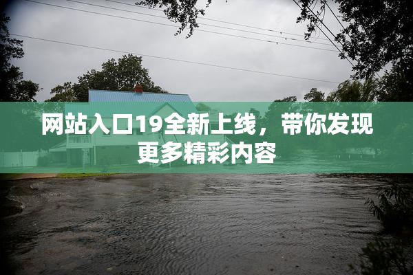 网站入口19全新上线，带你发现更多精彩内容
