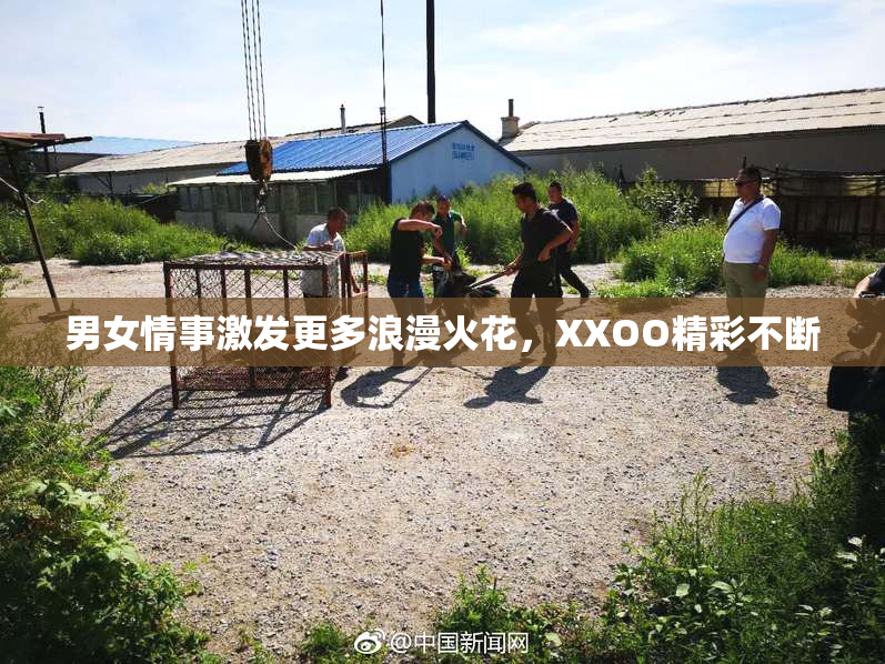 男女情事激发更多浪漫火花，XXOO精彩不断