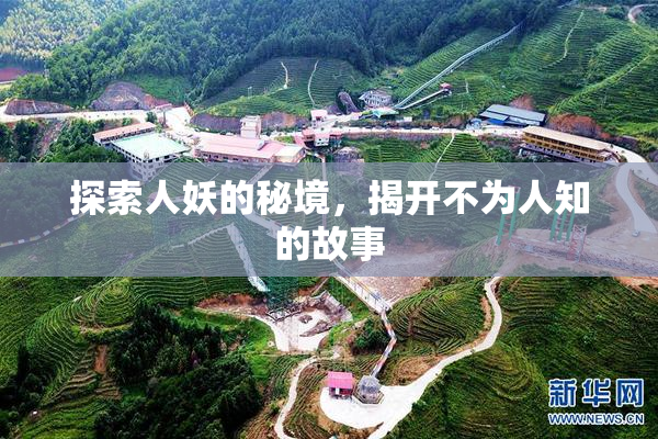 探索人妖的秘境，揭开不为人知的故事