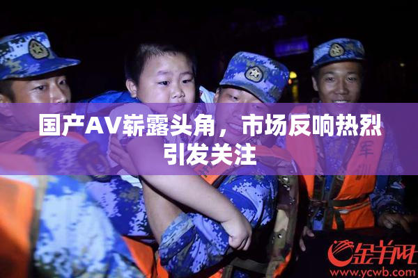 国产AV崭露头角，市场反响热烈引发关注