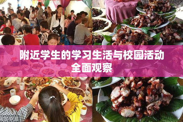 附近学生的学习生活与校园活动全面观察