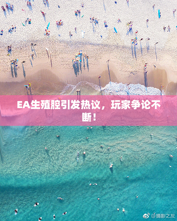 EA生殖腔引发热议，玩家争论不断！