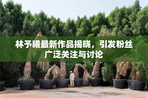 林予曦最新作品揭晓，引发粉丝广泛关注与讨论