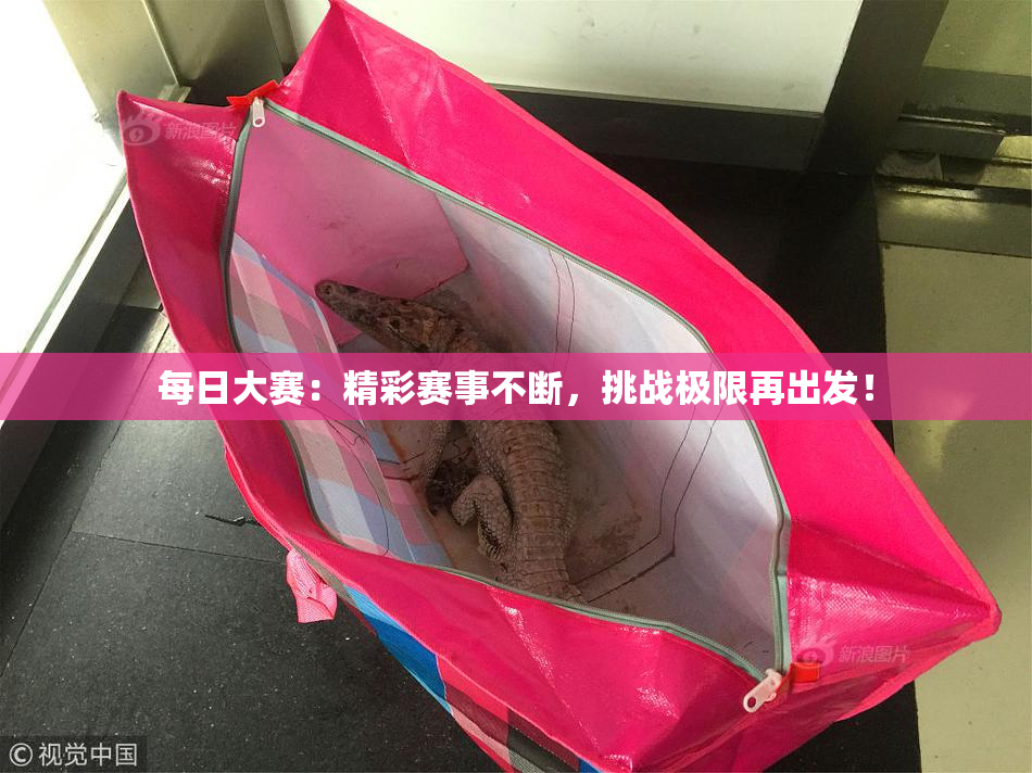 每日大赛：精彩赛事不断，挑战极限再出发！