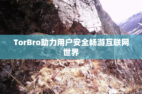 TorBro助力用户安全畅游互联网世界