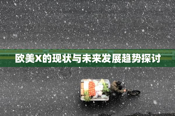 欧美X的现状与未来发展趋势探讨