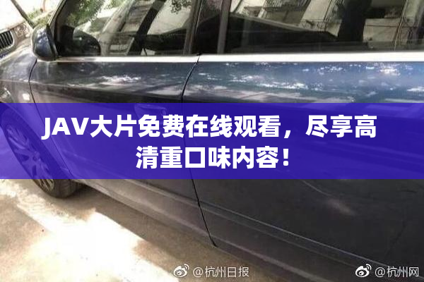 JAV大片免费在线观看，尽享高清重口味内容！