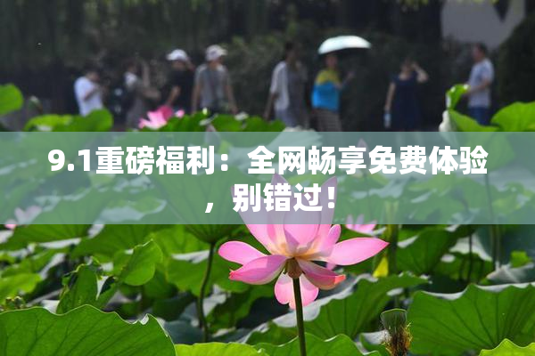 9.1重磅福利：全网畅享免费体验，别错过！