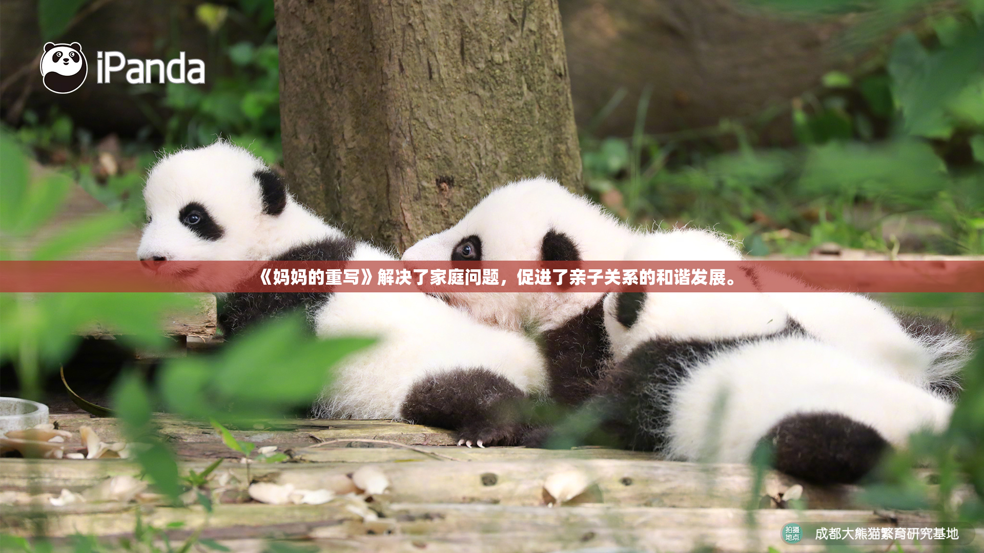 《妈妈的重写》解决了家庭问题，促进了亲子关系的和谐发展。