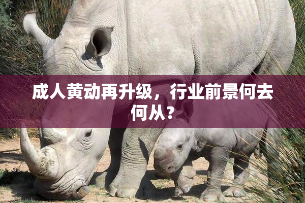 成人黄动再升级，行业前景何去何从？
