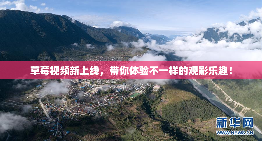 草莓视频新上线，带你体验不一样的观影乐趣！