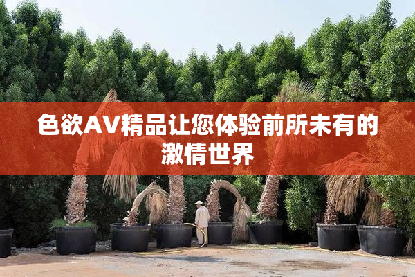 色欲AV精品让您体验前所未有的激情世界