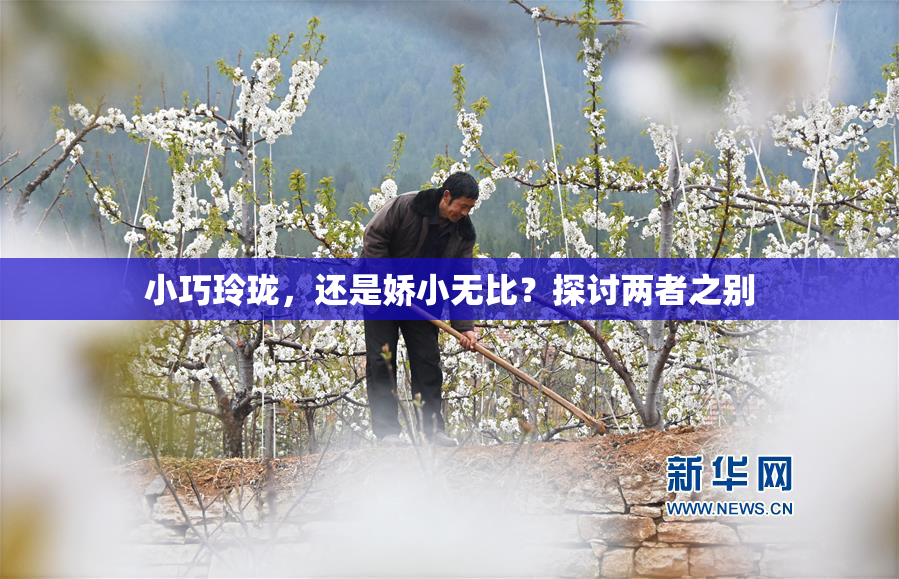 小巧玲珑，还是娇小无比？探讨两者之别