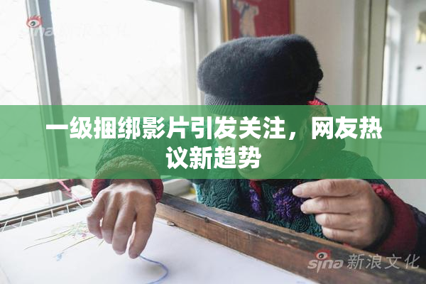 一级捆绑影片引发关注，网友热议新趋势