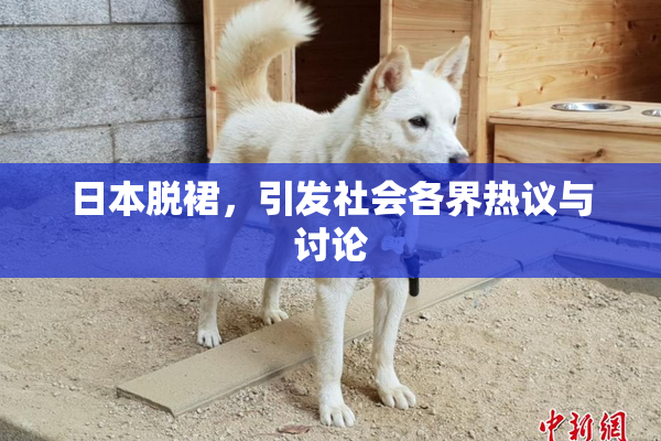 日本脱裙，引发社会各界热议与讨论