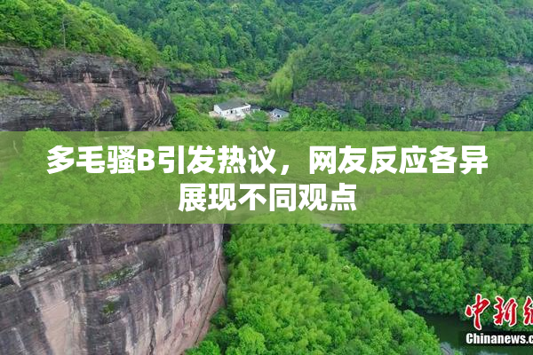 多毛骚B引发热议，网友反应各异展现不同观点