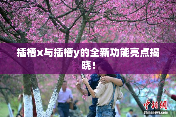 插槽x与插槽y的全新功能亮点揭晓！