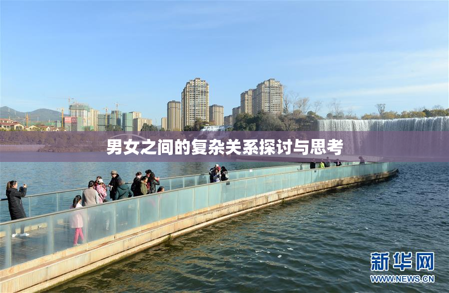 男女之间的复杂关系探讨与思考
