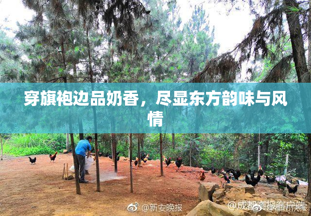 穿旗袍边品奶香，尽显东方韵味与风情