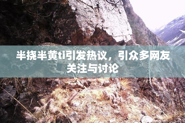 半挠半黄ti引发热议，引众多网友关注与讨论