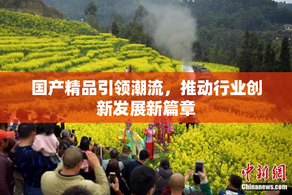 国产精品引领潮流，推动行业创新发展新篇章