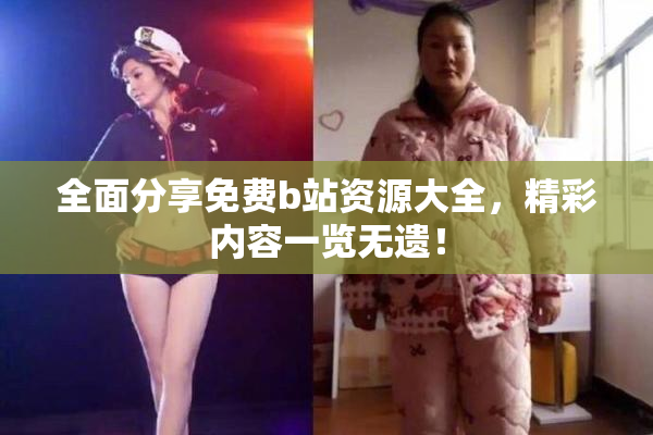 全面分享免费b站资源大全，精彩内容一览无遗！