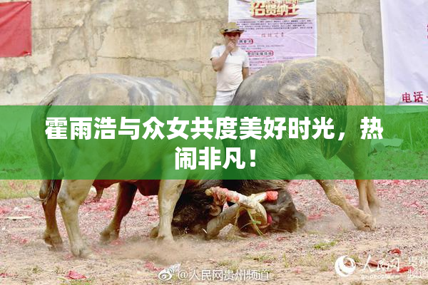 霍雨浩与众女共度美好时光，热闹非凡！