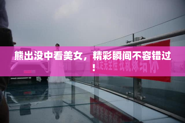 熊出没中看美女，精彩瞬间不容错过！