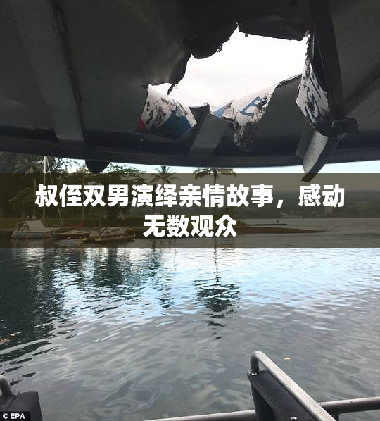 叔侄双男演绎亲情故事，感动无数观众