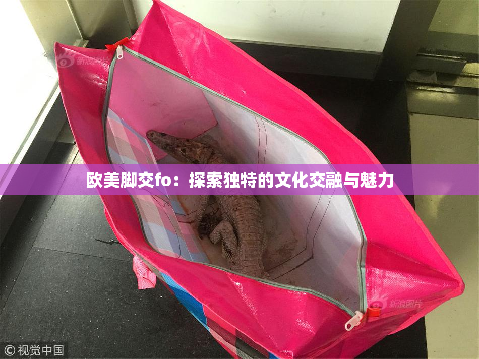 欧美脚交fo：探索独特的文化交融与魅力