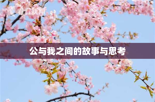 公与我之间的故事与思考
