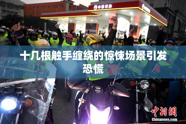 十几根触手缠绕的惊悚场景引发恐慌