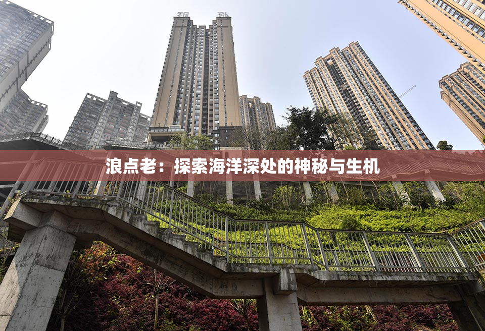 浪点老：探索海洋深处的神秘与生机