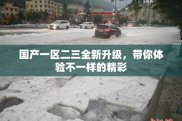 国产一区二三全新升级，带你体验不一样的精彩