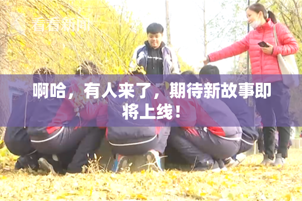 啊哈，有人来了，期待新故事即将上线！