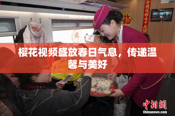 樱花视频盛放春日气息，传递温馨与美好