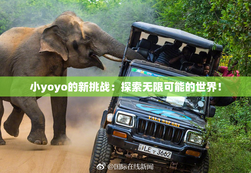 小yoyo的新挑战：探索无限可能的世界！