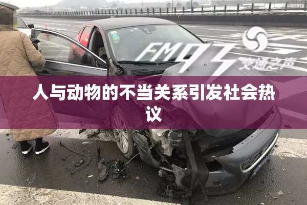 人与动物的不当关系引发社会热议