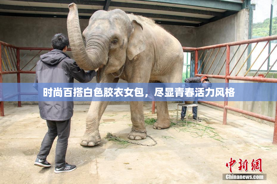 时尚百搭白色胶衣女包，尽显青春活力风格